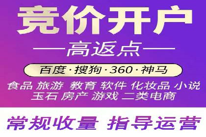 某零售企业网络推广竞价的成功策略分享
